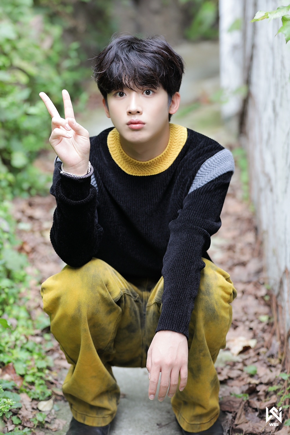 그라바타