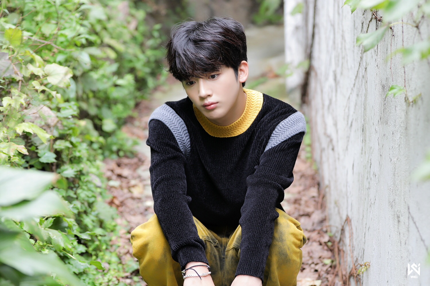 그라바타
