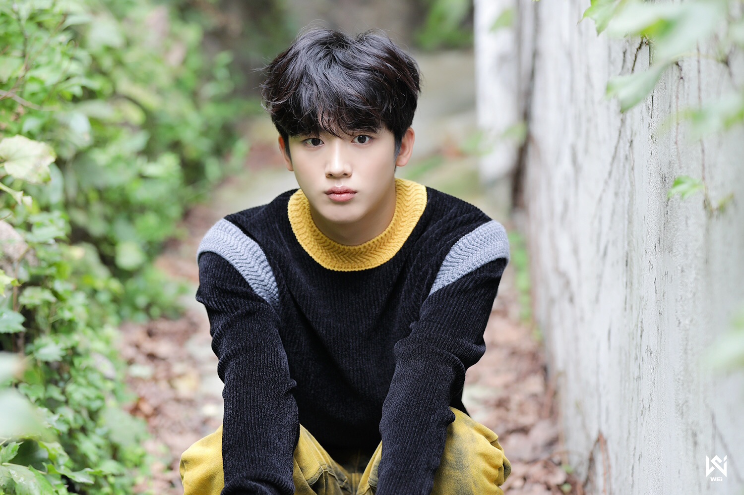 그라바타