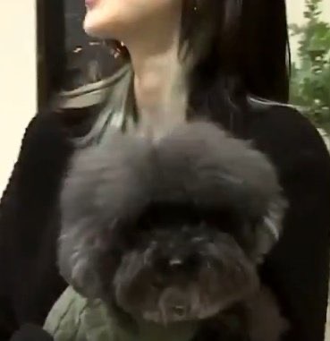 Gravatar