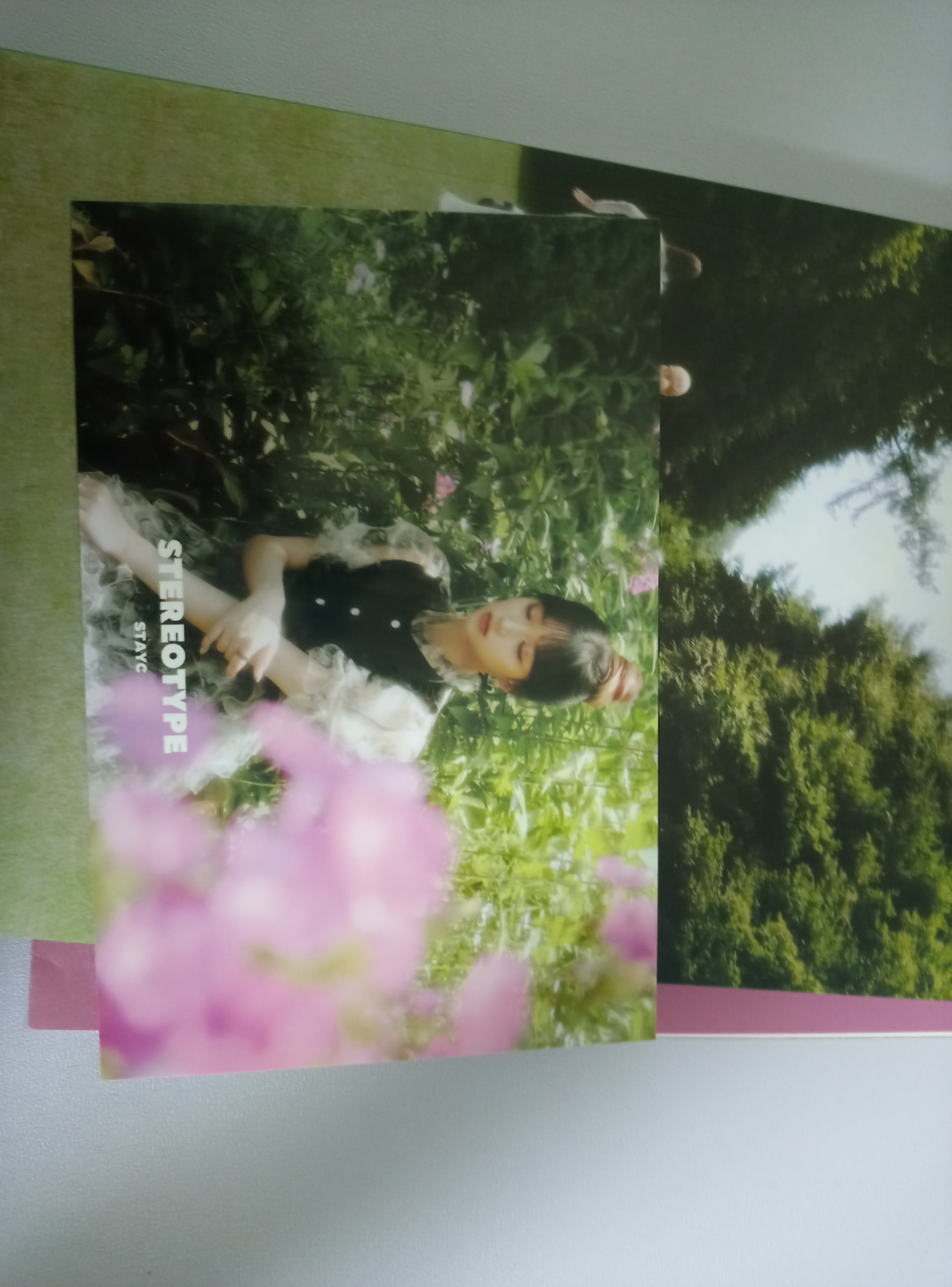 photo
