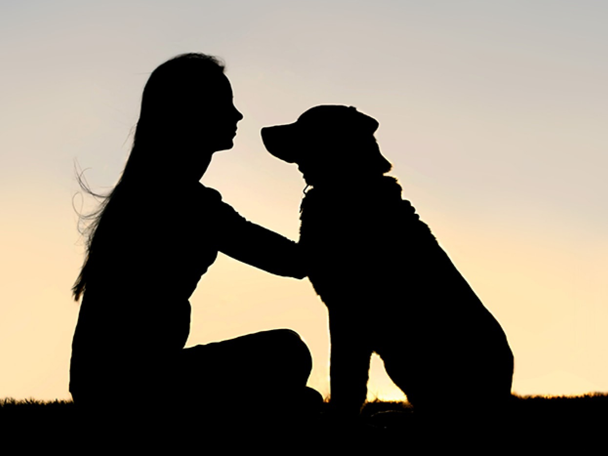 人が嫌いな子 thumbnail