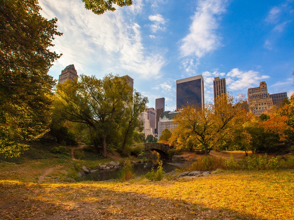 신의 속삭임 thumbnail