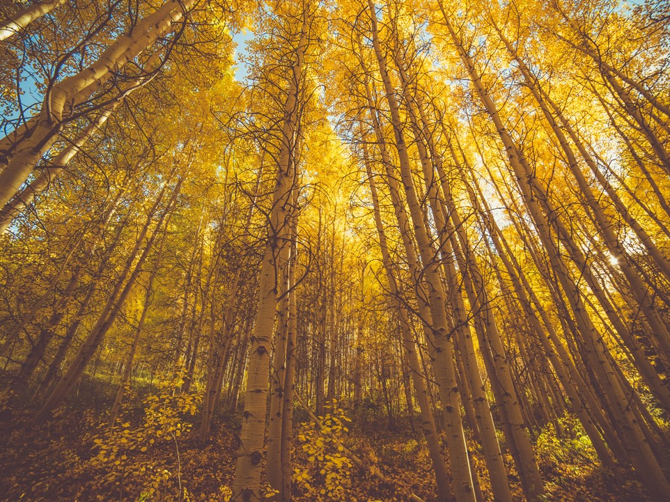 압브 탐험대(?) thumbnail