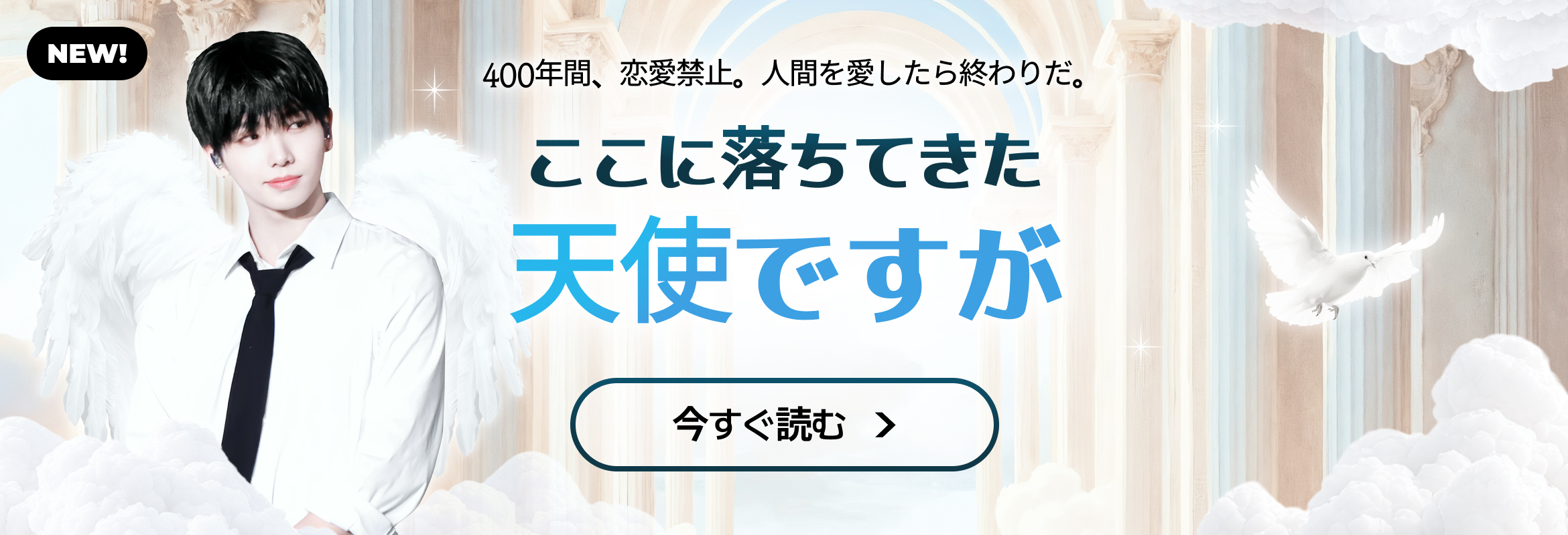 여기에 떨어진 천사입니다만