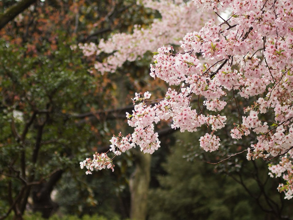 모범생의 이중생활 thumbnail