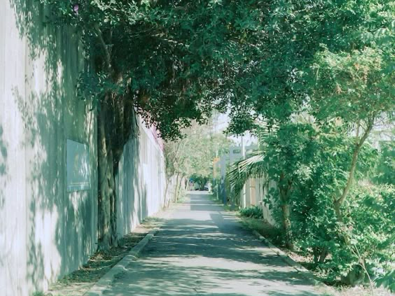 동경하는 것들을 위하여 thumbnail