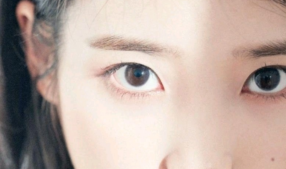 Không vì lý do gì cả thumbnail