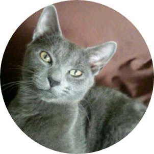 러시안 블루(성우 image