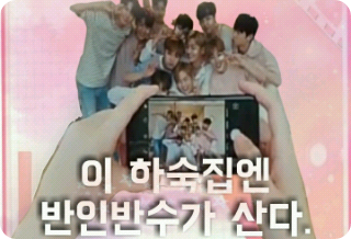 이 하숙집엔 반인반수가 산다. thumbnail