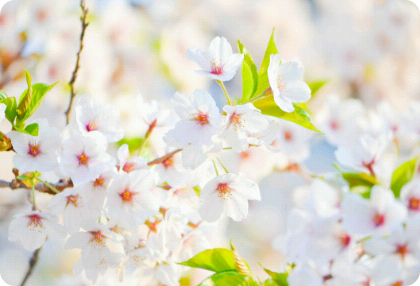 [공모전2]인기있는왕따 thumbnail