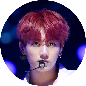 전정국(치타 image