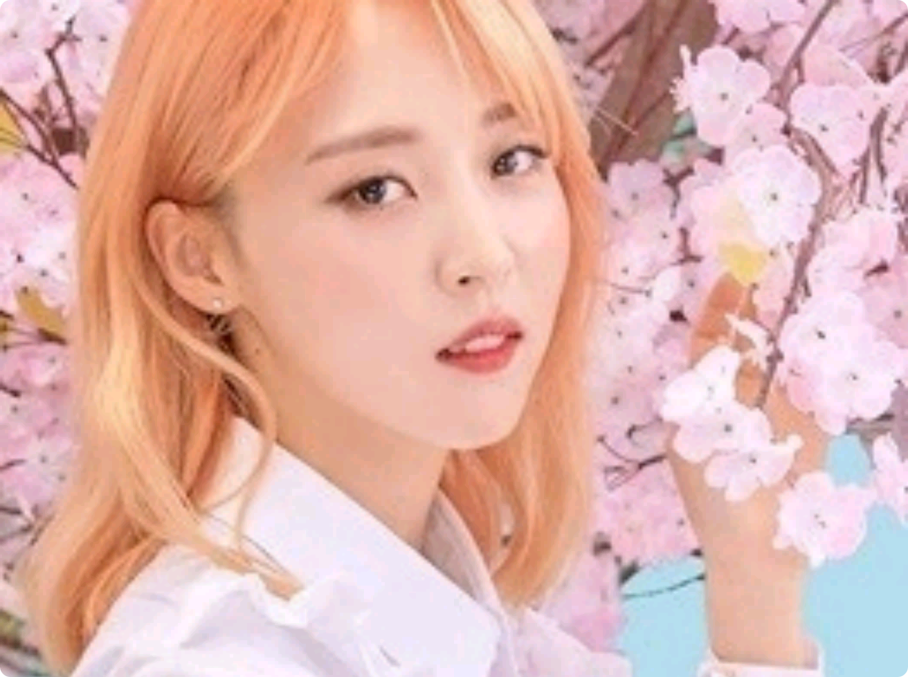 La vita di Mamamoo thumbnail image