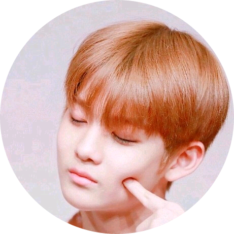 진영 image