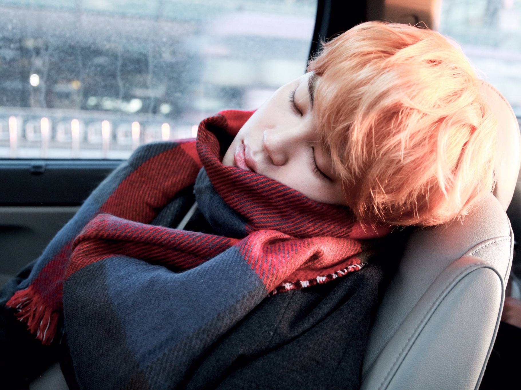 [ひまわり:Sunflower] thumbnail