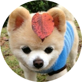 이상한 작가 image