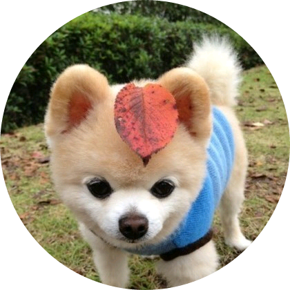 이상한 작가 image