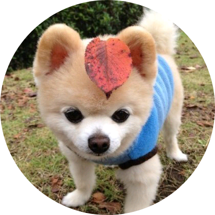 이상한 작가 image