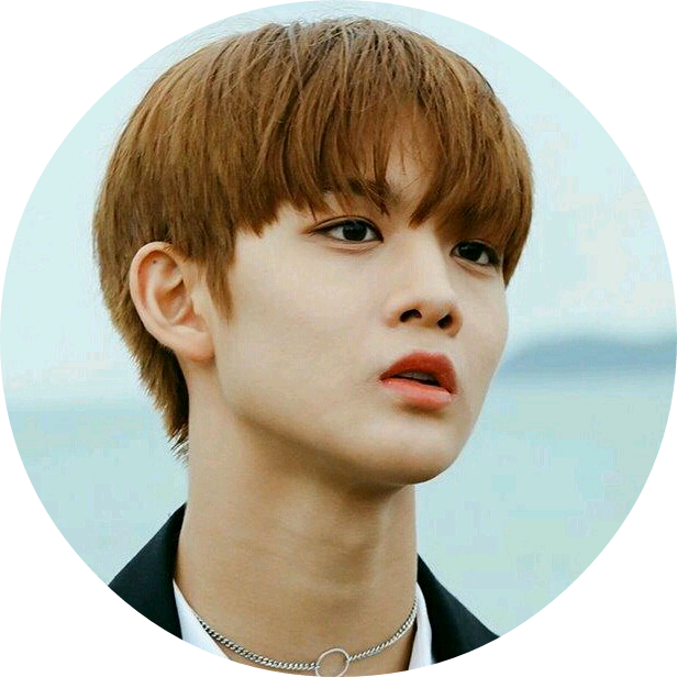 닥터 배진영 image