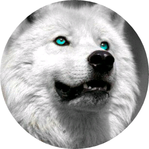 늑대 정예슬 image