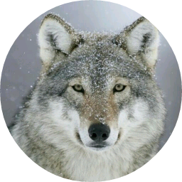 늑대 다니엘 image