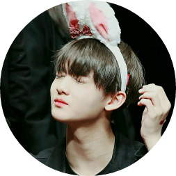 의사늑대 배진영 image