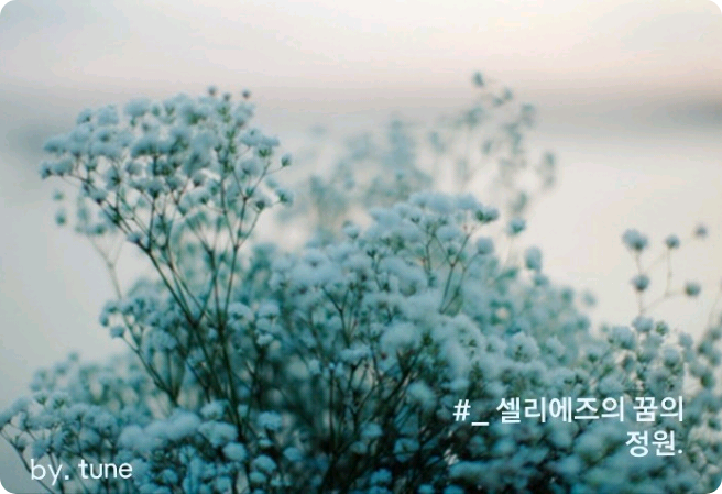 #_ 塞尔杰兹的梦幻花园。 thumbnail