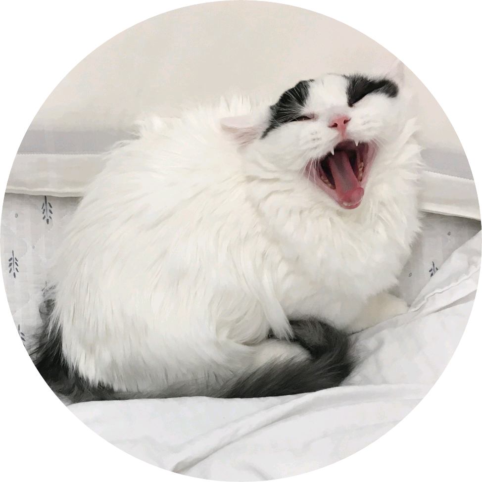 리얼존잘작가 image