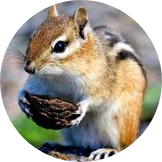 민혁(다람쥐) image