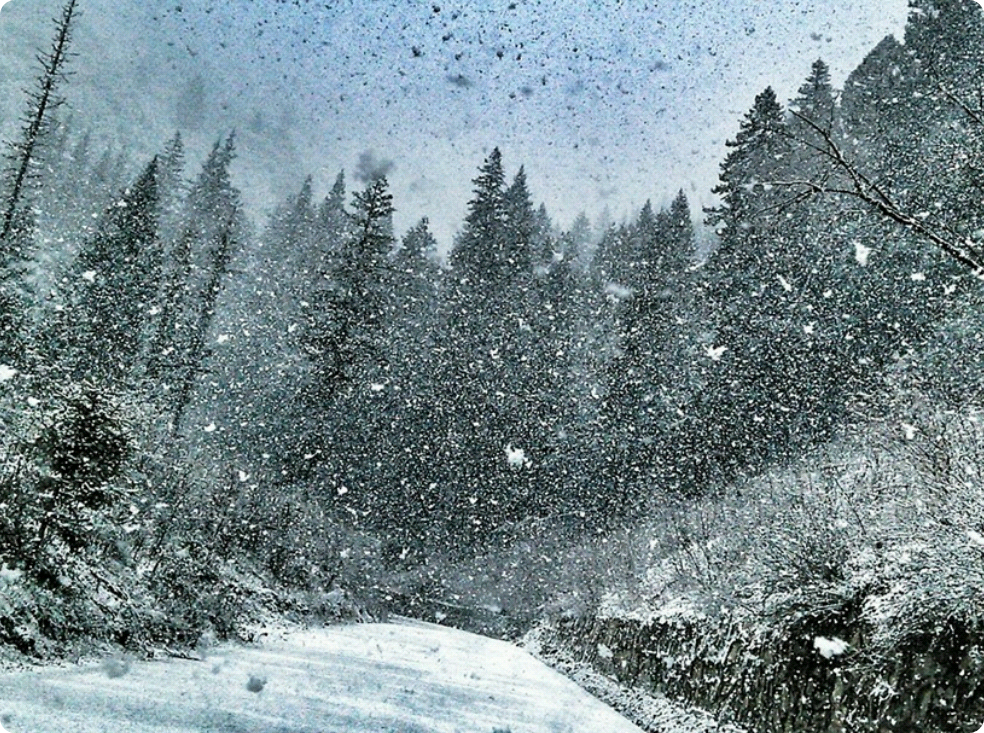 솔로였던 나에게... thumbnail