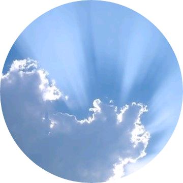 이연 image