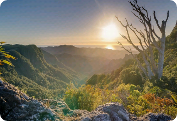 Floristería para niñas thumbnail