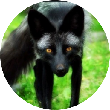 민여주(각성상태) image