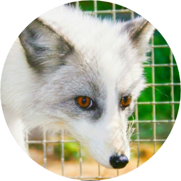 김태형(폭주상태) image