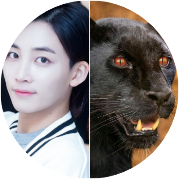 정국&정한&흑표범 image