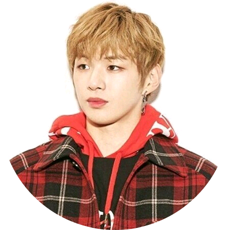 강다니엘 image