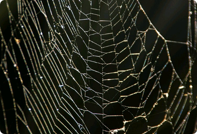 Mon copain est un vampire thumbnail