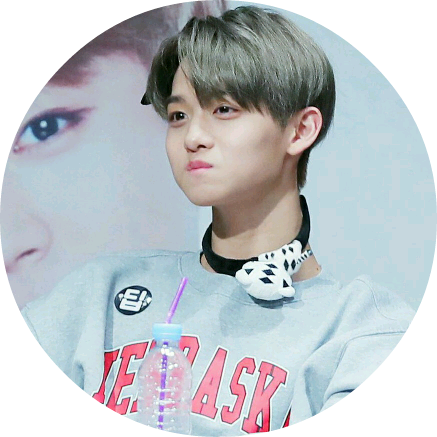 배진영 image