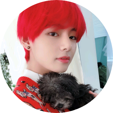 김태형_말티즈 image