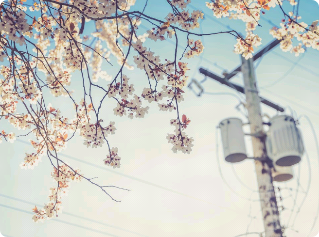 Si {recueil de nouvelles} thumbnail