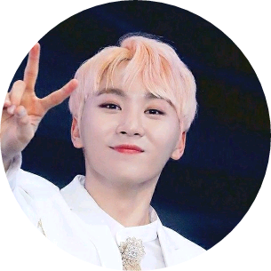 부승관 image