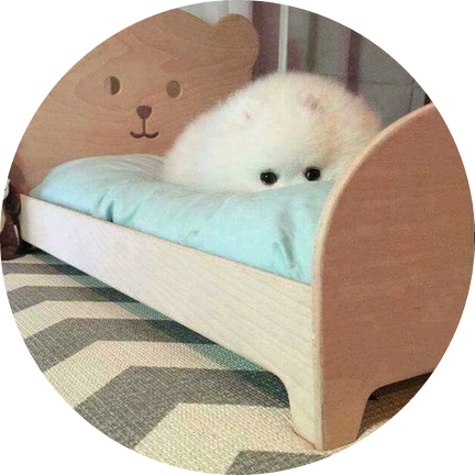 아미블 작가 image