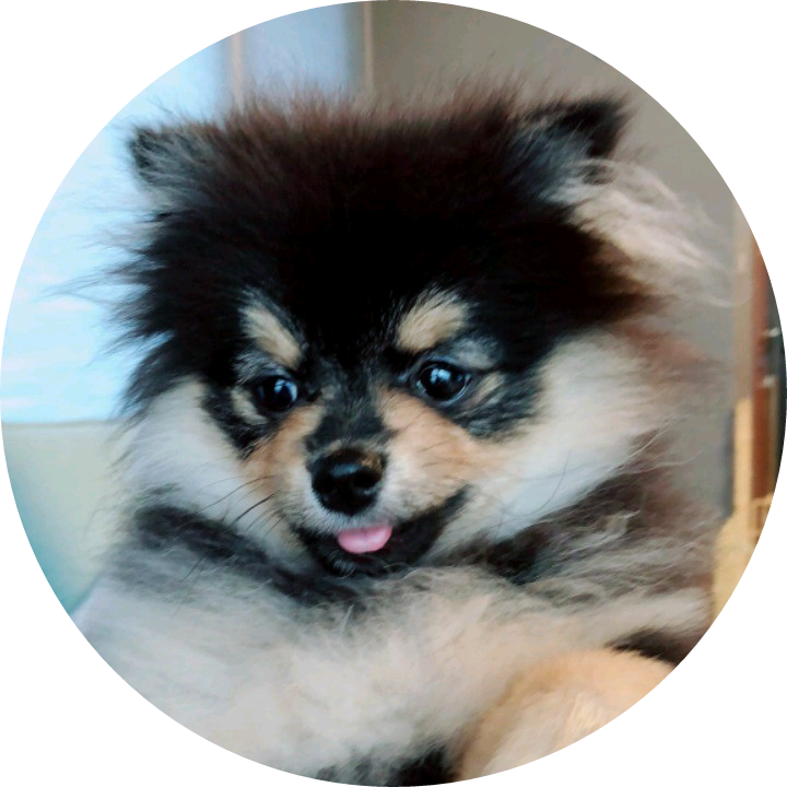 연탄이 어무니 image