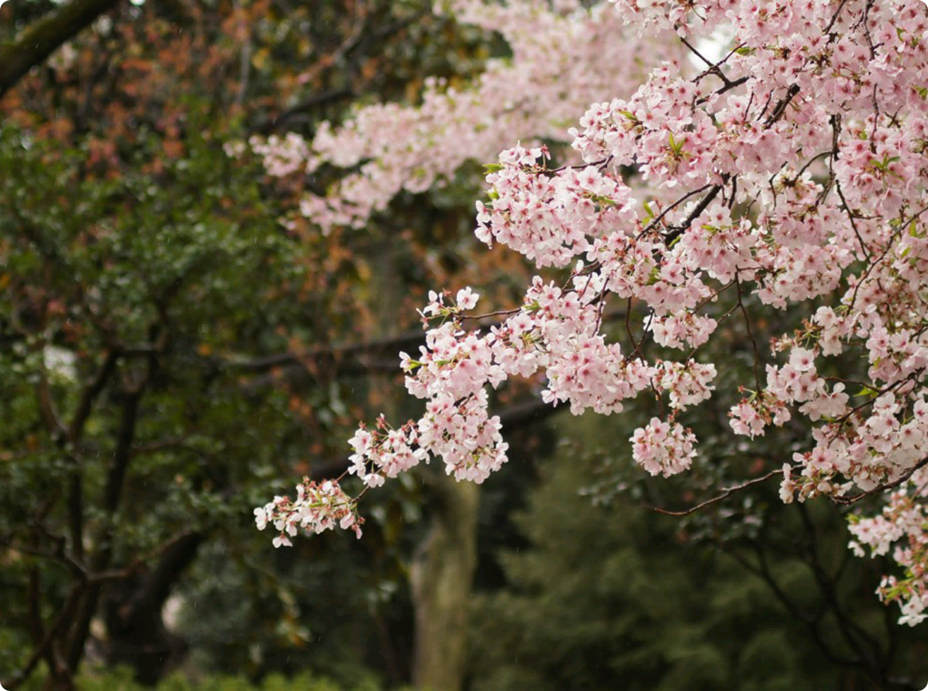 Teacher, do you want it for me? thumbnail