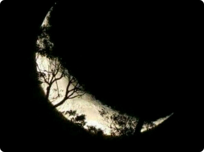 좀비에게 대쉬받았어요! thumbnail