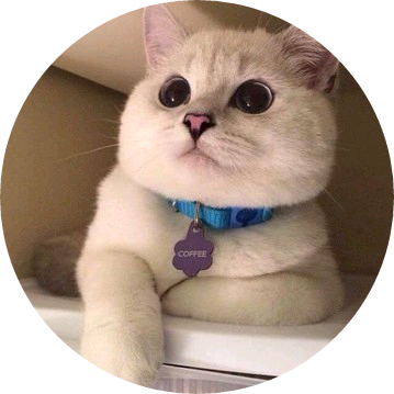 고양이 image