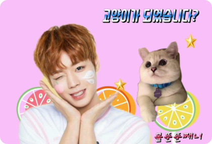 고양이가 되었습니다? thumbnail