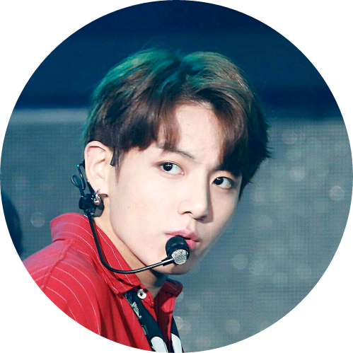 일진 정국 image