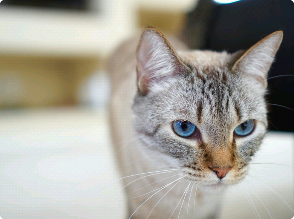 High school romance♡ thumbnail