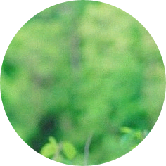 누구게 image